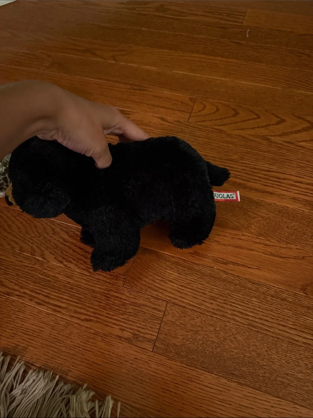 Plush Turtle and Bear Small-Pet Toy Set - Green & Black